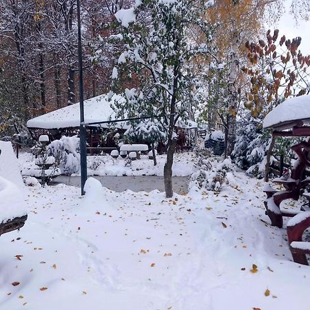Pensiunea Emma Sîmbăta de Sus Bagian luar foto