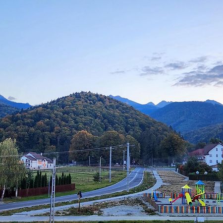 Pensiunea Emma Sîmbăta de Sus Bagian luar foto
