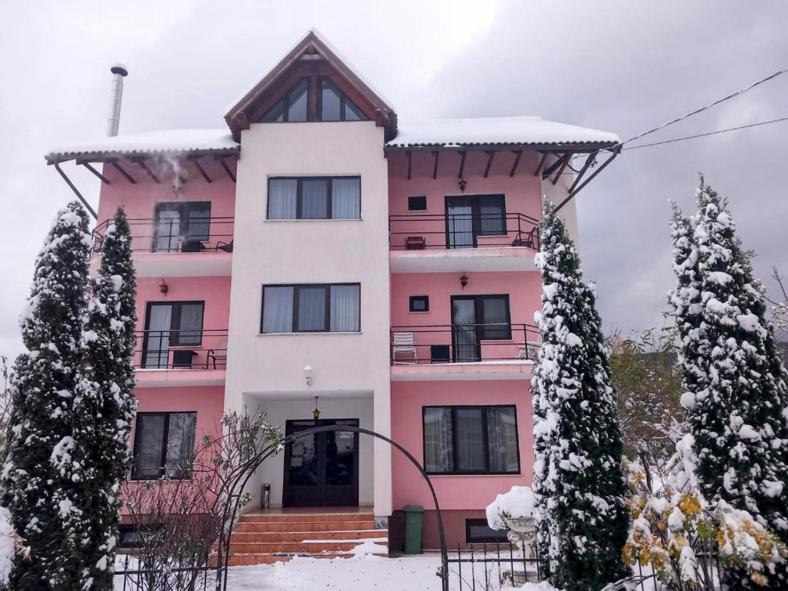 Pensiunea Emma Sîmbăta de Sus Bagian luar foto