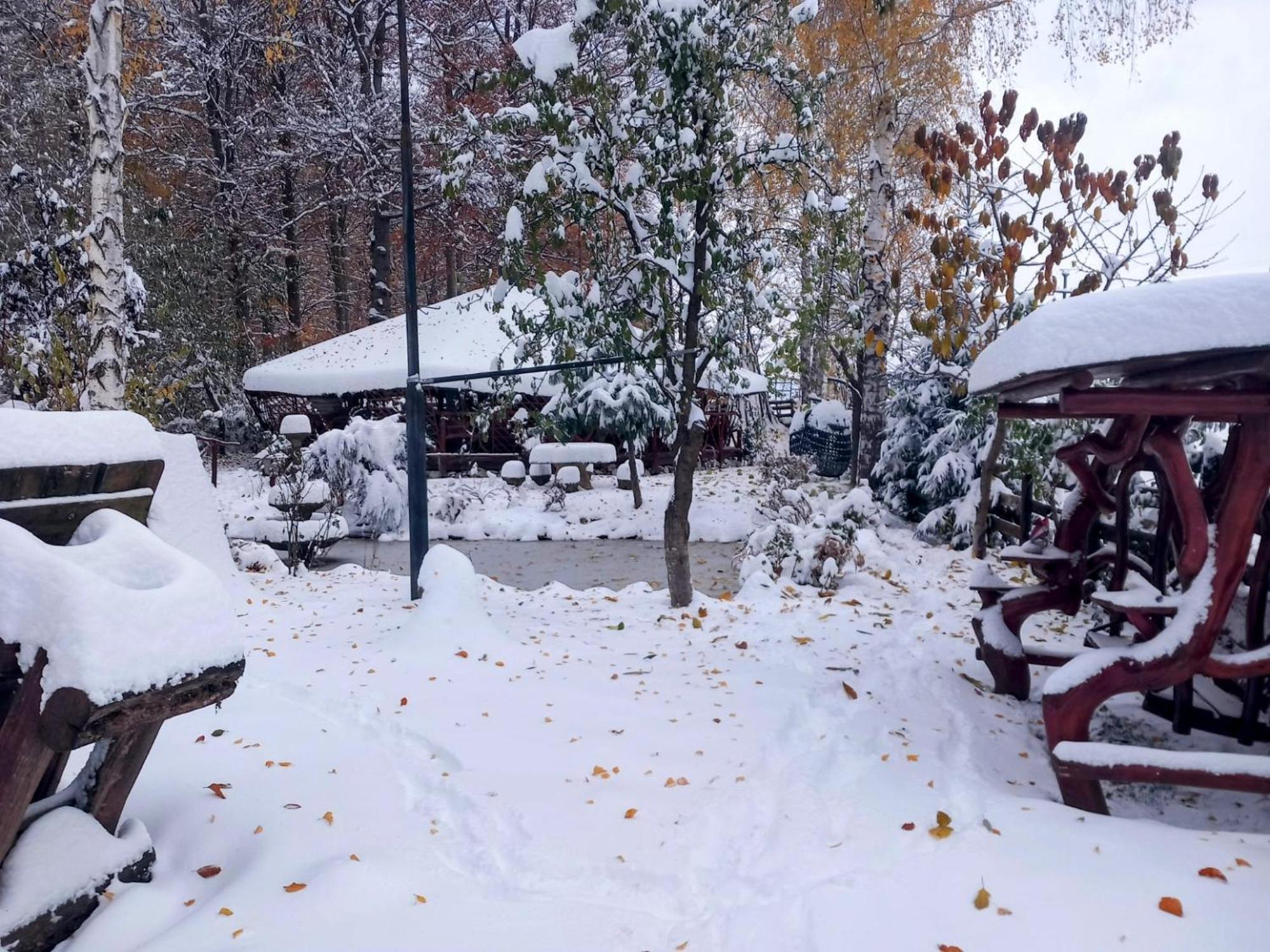 Pensiunea Emma Sîmbăta de Sus Bagian luar foto
