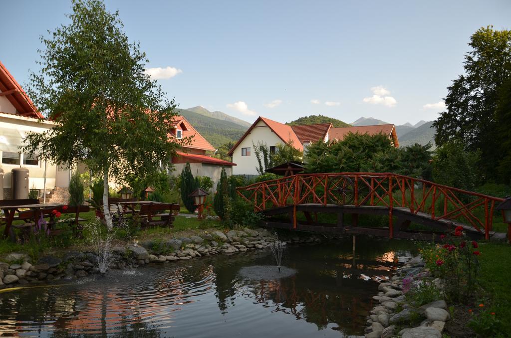 Pensiunea Emma Sîmbăta de Sus Bagian luar foto