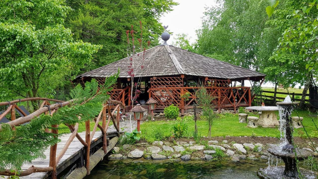 Pensiunea Emma Sîmbăta de Sus Bagian luar foto