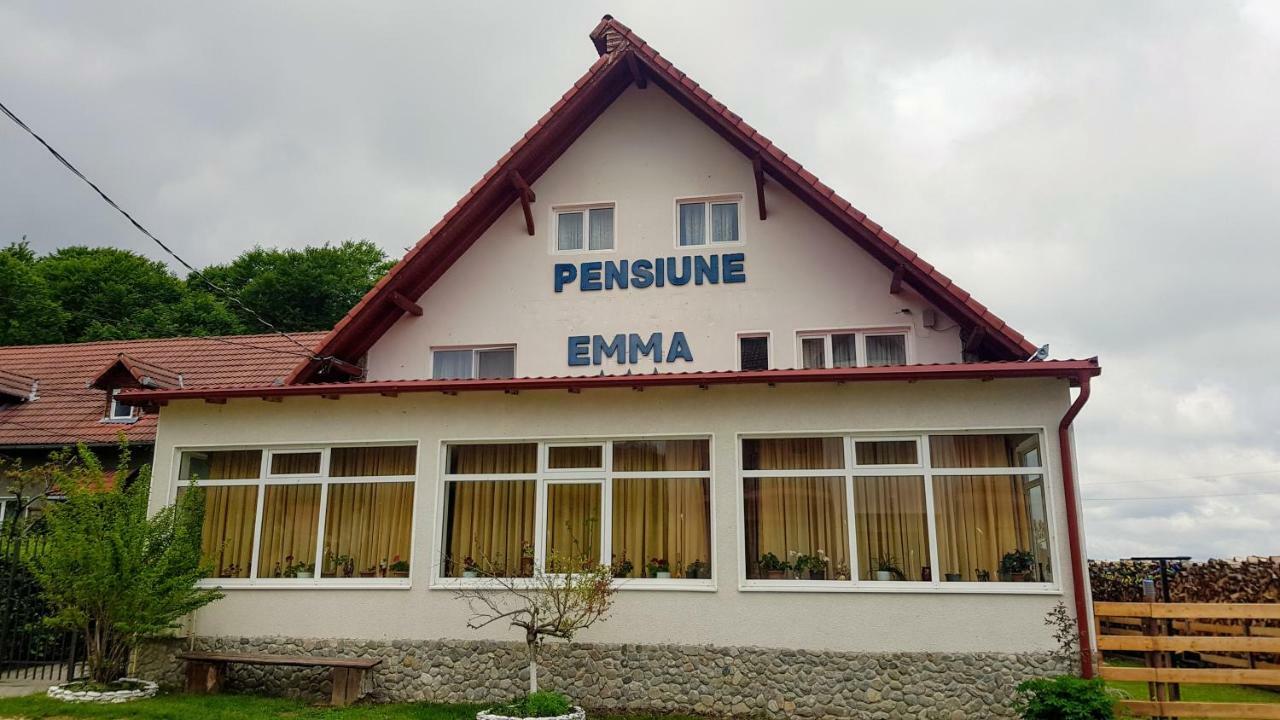 Pensiunea Emma Sîmbăta de Sus Bagian luar foto